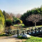 Bakırköy Botanik Parkı Nerede? Nasıl Gidilir? | Giriş Ücreti 2023