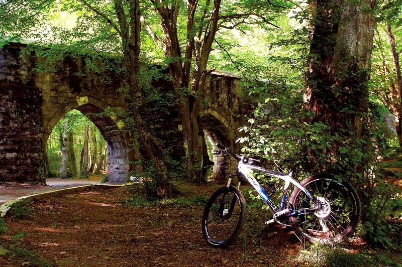 belgrad ormanı bisiklet